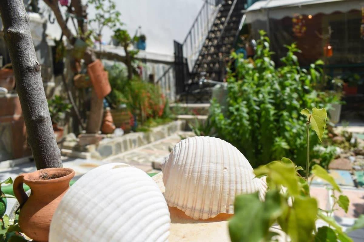 Faraí Urban Seaside Oasis - Adriana'S Garden Paradiseヴィラ エクステリア 写真